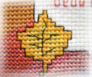 Close Up Detail Seasons